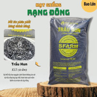 Trấu Hun SFARM (Bao 50dm ~ 5Kg) Giá thể đã xử lý, giàu kali, cải tạo đất tơi xốp, ươm giống - Hạt giống Rạng Đông