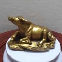 Trâu thư thái  tượng trâu đồng vàng nguyên chất. Tượng Trâu phong thuỷ - Đại Bái 555