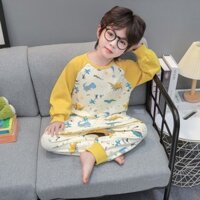 Trẻ Em Một Mảnh Bộ Đồ Ngủ Bé Trai Xuân Thu Dài Tay Cho Bé Cotton Nguyên Chất Hoạt Hình Khủng Long Bé Trai Túi Ngủ Dịch Vụ Tại Nhà 4.2