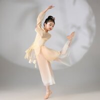 Trẻ Em Trẻ Em Cổ Điển Khiêu Vũ Gạc Quần Áo Phong Cách Cổ Đại Trẻ Em Trang Phục Quạt Khiêu Vũ Bé Gái Siêu Cổ Tích Nghệ Thuật Khảo Cổ Học Tập Thể Dục Quần Áo Thanh Lịch241029