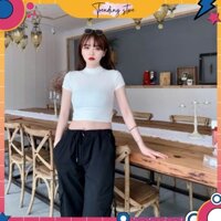 [Trending Store Z] Áo Croptop Nữ Cổ 3 Phân B013