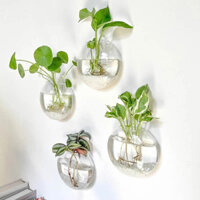 Treo tường Cây thủy tinh Terrarium Hộp đựng Trạm nhân giống Bình hoa treo tường Cây không khí Terrarium Trang trí văn phòng tại nhà