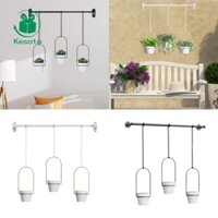 Treo Tường Chậu Cây Móc Treo Cây Dễ Sử Dụng Dễ Dàng Lắp Đặt Thiết Kế Đơn Giản Chắc Chắn Kệ Cây Cửa Sổ Cho Cây Xanh Trần