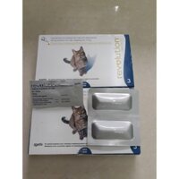 Trị ve rận Revolution mèo