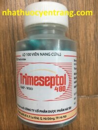 TRIMESEPTOL 480 Hà Tây