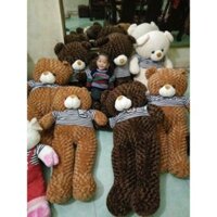 Trinhxuân RDJ Gấu teddy 1m5 70 MHB11