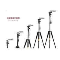 Tripod Beike Q-999S