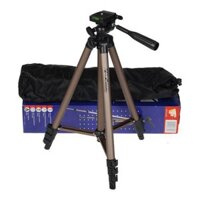 Tripod mini WT3130