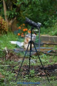 Tripod Sony VCT-R100