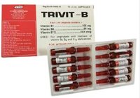 TRIVIT-B T.P (H/10ống/3ml)
