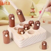 Trò chơi đập ISITAFTB, Đồ chơi đập búa tương tác bằng gỗ, Trò chơi học tập xếp hình cha mẹ và con cái được đánh dấu tốt Trò chơi bắt chuột trên bàn câu cá Trẻ em