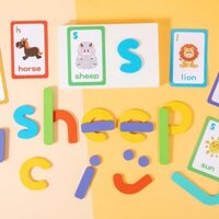 Trò chơi học tập cho trẻ em Bộ hoạt động xây dựng chữ cái có chữ nhìn Thẻ Flash Phân loại màu sắc Đồ chơi giác quan Hoạt động học tập mầm non cho bé trai bé gái teaimvn