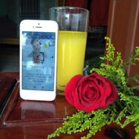 [TRỢ GIÁ] 1KG TINH BỘT NGHỆ NẾP ĐỎ