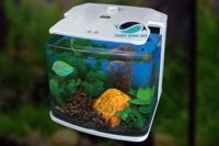 Trọn bộ bể cá mini Aquablue LAT-40