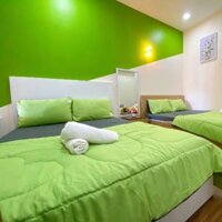 Trọn bộ chăn ga cotton trần mỏng dùng cho homesstay