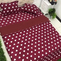 Trọn bộ chăn ga gối cotton đũi hè mẫu mới nhất