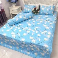 Trọn bộ chăn ga gối poly hè trần bông
