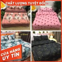 Trọn bộ chăn phao ga gối poly Cotton-chăn phao, chan ga goi