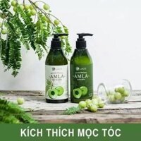 Trọn Bộ Dầu Gội Amla