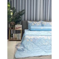 Trọn bộ drap 5 món vải lụa Tencel cao cấp