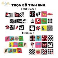 TRỌN BỘ TINH ANH - BỘ ZICZAC VÀ FLASHCARD KÍCH THÍCH THỊ GIÁC