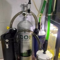 Trộn CO2 PlantVN PaTuan cho AE Chơi Chuyên giá Trà Đá