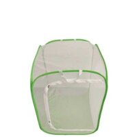 Trồng Côn Trùng Chống Bọ Ngựa Hạt Giống Màu Xanh Lá Cây Trong Suốt Canh Tác Hộp Quan Sát Gấp Côn Trùng Bướm L