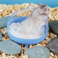 🐹Trong kho🦔 Hamster nhựa nhà vệ sinh bồn tắm hai trong một/gấu vàng bồn tắm đặc biệt bồn tiểu lớn