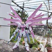 Trong kho☒☸Mô Hình HG Bột Hoa Anh Đào Tự Do Gundam 1/144 Tấn Công Miễn Phí Đồ Chơi