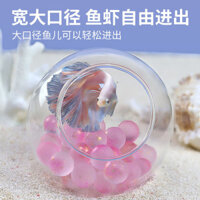 Trong suốt nơi trú ẩn bể cá cảnh quan betta cua ẩn sĩ nhỏ nơi trú ẩn lỗ cá bảy màu tôm giống bể nuô