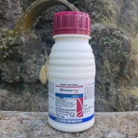 Trừ bệnh Amistar Top 325SC 250ml [CHÍNH HÃNG SYNGENTA] trừ lem lép, đốm vằn trên lúa