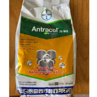 Trừ Bệnh BAYER - ANTRACOL 70WP Zinc++ - DẠNG CỐM 500G - Bảo vệ cây trồng bằng áo giáp kẽm