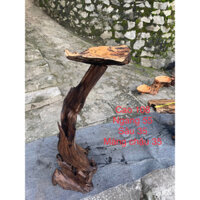 TRỤ LŨA GHÉP CHẬU , TRỒNG LAN , TRỒNG HOA, DECO