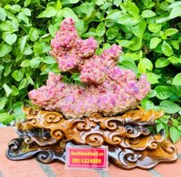 Trụ tinh thể ruby Lục Yên trưng bày phong thủy cực chất