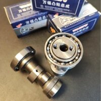 Trục cam Dream Wave 2 lỗ