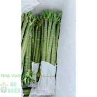 Trúc Phú Quý 1 bó 10 cây