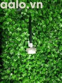 Trục quả đào  Máy in Laser đen trắng Canon 6650DN