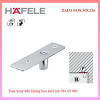Trục xoay trên khung bao inox mờ 981.00.080