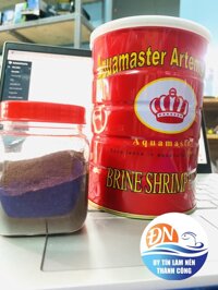 Trứng atemia LON ĐỎ (50g)