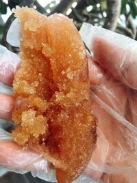 Trứng cá chuồn - Hộp 500gr (2020)