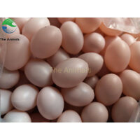 Trứng chim bồ câu giả - Trứng nước hồng set 100 cái