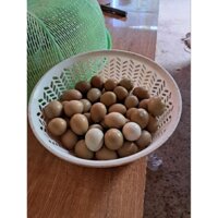 Trứng chim Trĩ giống combo 10 quả tỉ lệ có Cồ cao