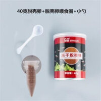 Trứng có vỏ làm giàu tôm trung chuyển cá nhiệt đới cá cảnh cá bảy màu cá con non ăn ống trung chuyể