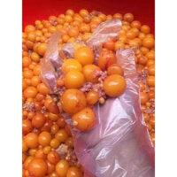 TRỨNG GÀ NON ( 1ki ) - HCM CHỈ GIAO HOẢ LỰC