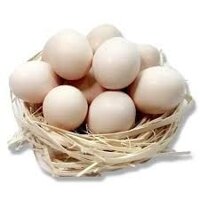 Trứng Gà Ta nuôi thả hữu cơ Qus Farm hộp 10 trứng