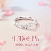 Trung Quốc Vàng Quý Bạc S925 Nhẫn Nữ Niche Trơn Nhẫn Quà Tặng Ngày Lễ Tình Nhân Bạn Gái#YJZ0211#