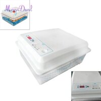 Trứng tự động để ấp trứng Gà cút ngỗng Sử dụng trong gia đình