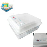 Trứng tự động để ấp trứng Gà cút ngỗng Sử dụng trong gia đình