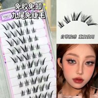 Truyện tranh thỏ chín đuôi Slanted, Cáo bay, Lông mi giả, Su Daji, Barbie hàng ngày tự nhiên Thỏ nhỏ Newbie