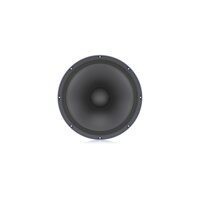 TS-15W300/8A Củ loa Bass từ thường 300W 4 tấc Turbosound